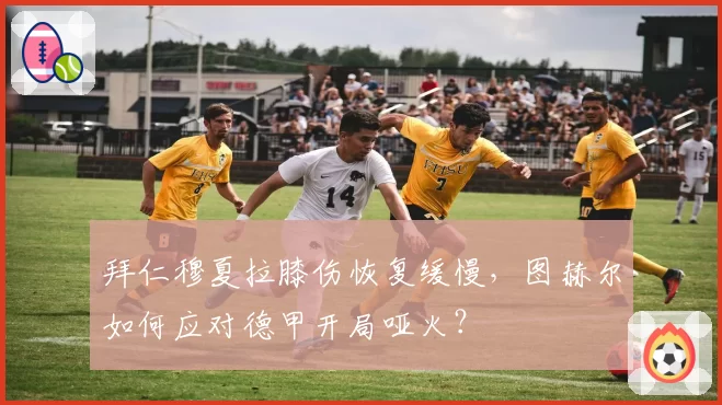 拜仁穆夏拉膝伤恢复缓慢，图赫尔如何应对德甲开局哑火？