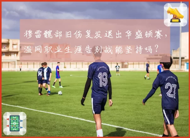 穆雷髋部旧伤复发退出华盛顿赛，温网职业生涯告别战能坚持吗？